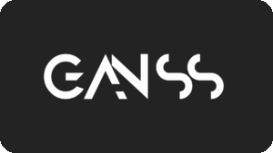 Home 6 Ganss